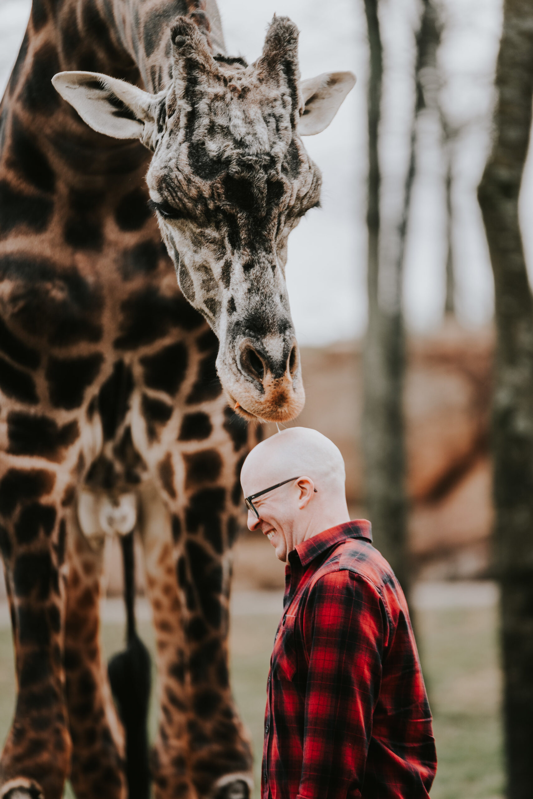 emily and daniel nashville zoo engagement session wilde company-3153.jpg